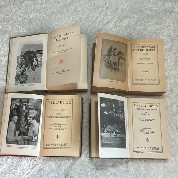 Vtg Zane Grey Lot 4 novels The Last of The Plainsmen First Edition 1908 outing - Picture 3 of 11